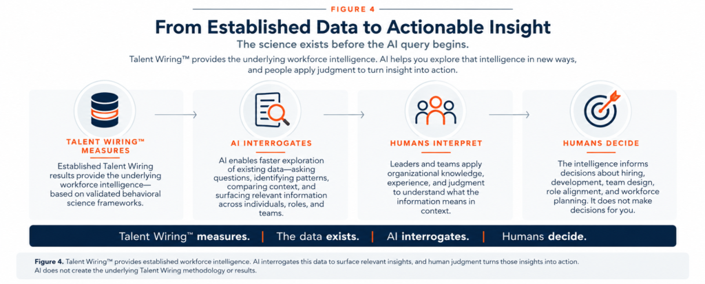 From Talent Data to Actionable Insight
